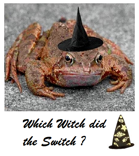 Which Witch Did the Switch ? murder mystery party game
